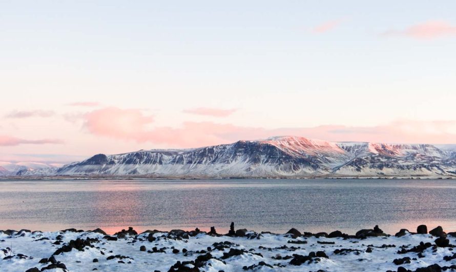 Guardians of Your Journey: Understanding Travel Insurance in Reykjavik