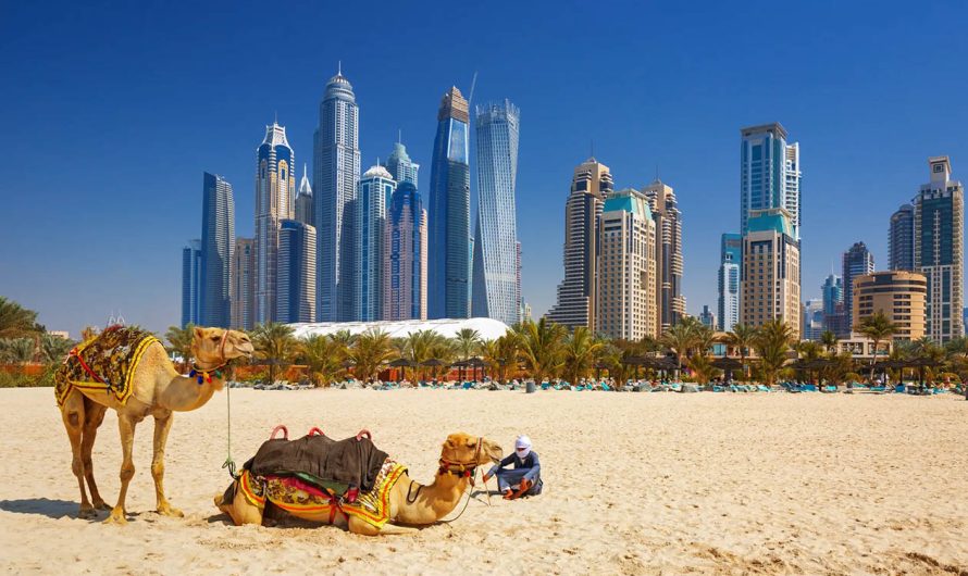 What You Need to Know Before Visiting Dubai